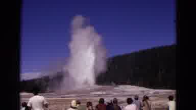 Yellowstone Park Wyoming (1967): The Bear Is Walking On The Road It's One Of The