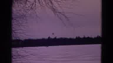 Yellowstone Park Wyoming (1967): Animal Walking On The Snow In The Middle Of The