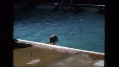 Fort Wayne Indiana-1976: People Swimming And Going Underwater In A Public Pool