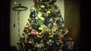 Fort Wayne Indiana (1976): Christmas Tree Celebration Family Ornaments