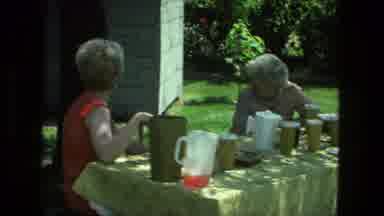 Fort Wayne Indiana (1976): A Dog Is Strolling Near To Two Old Women Dine Outside