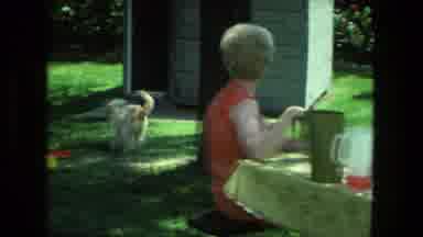 Fort Wayne Indiana (1976): Woman Smiling And Sitting At A Table Watching A Dog Run