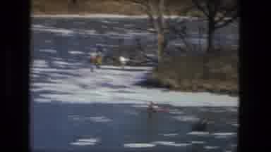 Fort Wayne Indiana (1976): Animal Crosses Partially Frozen Pond On A Clear Sunny
