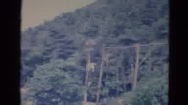 Minnesota (1976): Vintage Video Of The Forest