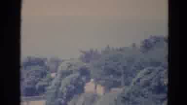 Minnesota (1976): Footage Of Trees Hanging Over An Urban Brick Wall With Railing