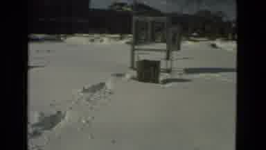 Drexel Hill Pennsylvania (1978): We Are Taking A Walk In The Snow With Our Friends