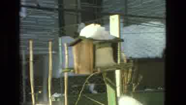 Drexel Hill Pennsylvania (1978): Snow Accumulates On Top On Streets House And