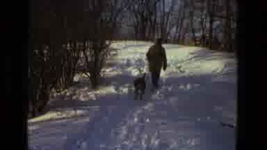 Drexel Hill Pennsylvania (1978): Man In The Snow Walking A Dog In The Cold