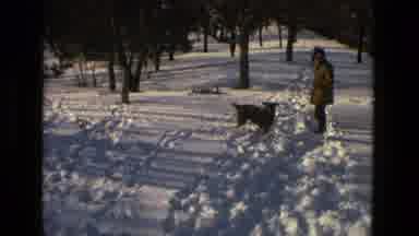 Drexel Hill Pennsylvania (1978): Grey Dog Wearing Brown Sweater Barks At Man