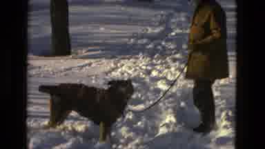 Drexel Hill Pennsylvania (1978): Man With Dog On A Leash Outside In The Snow