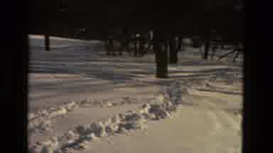 Drexel Hill Pennsylvania (1978): Family Crossed The Path Of Other Tourist Walking