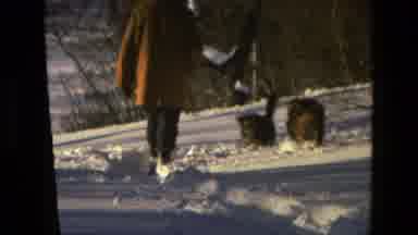 Drexel Hill Pennsylvania (1978): People Walking In The High Snow Through Woods