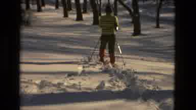 Drexel Hill Pennsylvania (1978): Snow Dog People Run Fun Trees Winter