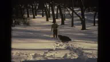 Drexel Hill Pennsylvania (1978): Dog And Owner Playing In Snow During Winter Time