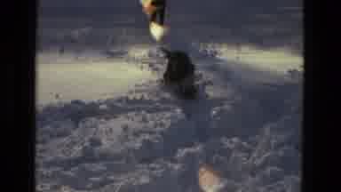 Drexel Hill Pennsylvania (1978): Dog Happily Running On The Snow While Owner Plays