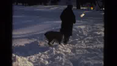 Drexel Hill Pennsylvania (1978): Walk Through The Snow Accompanied By Dog ââOn A