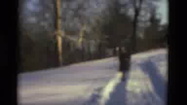 Drexel Hill Pennsylvania (1978): Person In Winter Attire Plays With A Dog In The