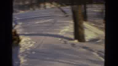 Drexel Hill Pennsylvania (1978): Children And A Dog Play In The Snow In The Woods