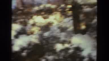 Drexel Hill Pennsylvania (1978): Snow-Covered Forest On A Typical Winter Day With