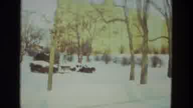 Drexel Hill Pennsylvania (1978): Winter Wonderland
