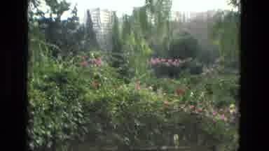 Granada Spain (1978): A Lush Green Bush Trees And Pink Color Flowers In Garden