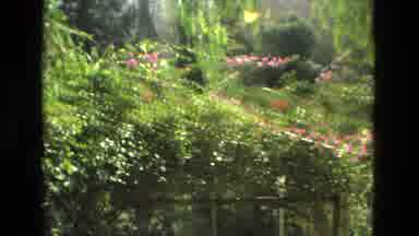 Granada Spain (1978): Beautiful Weather Has Helps Plants And Flowers Lavish In The