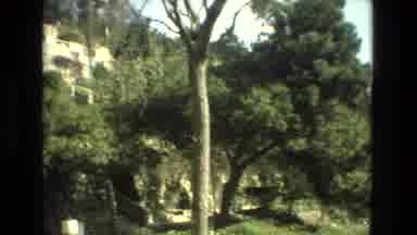Granada Spain (1978): Trees And Plants Take Over Old Building As It Can Barely Be