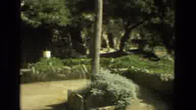 Granada Spain (1978): Long Expansive Of Stone Ruins Covered By Foliage