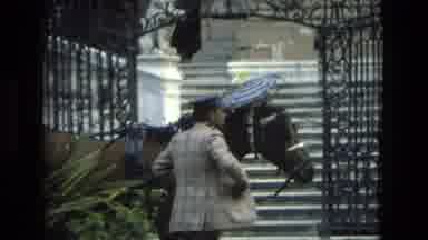 Granada Spain (1978): Horse Wears Umbrella And Sunflower On His Head To Pro Text