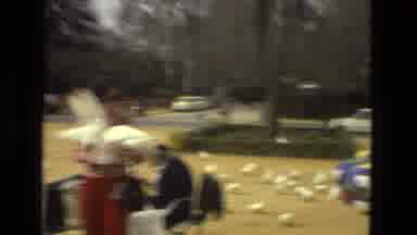 Madrid Spain (1978): Feeding White Pigeons In The Square