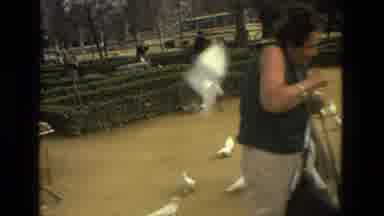 Madrid Spain (1978): Doves Flocking Around Fountain And Attacking Woman In Park