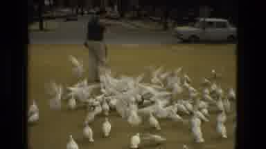 Madrid Spain (1978): A Lady Feeding A Flock Of Pigeons