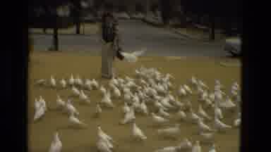 Madrid Spain (1978): Woman Stands Among Large Flock Of White Pigeons At A Park
