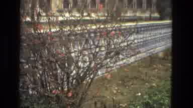 Madrid Spain (1978): Large Flock Of White Birds On A Clear Sunny Day