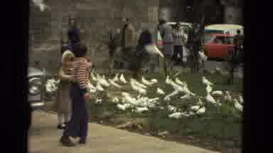 Barcelona Spain (1978): A Little Boy And Girl Near A Flock Of White Birds Near A