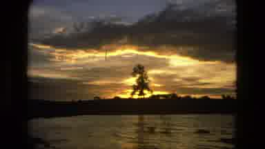 Manaus Brazil (1979): Large Tree Over A Lake During Sunset