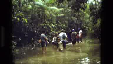 Manaus Brazil (1979): Group Of People Wading Through Shallow River In A Forest