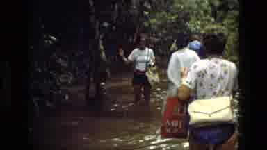 MANAUS BRAZIL-1979: Group Of Tourists Wading Through Flooded Jungle Trail