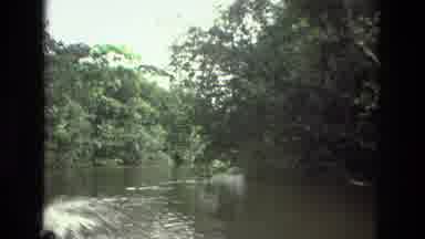Manaus Brazil (1979): The Place Is Beautiful In Its Natural Surroundings