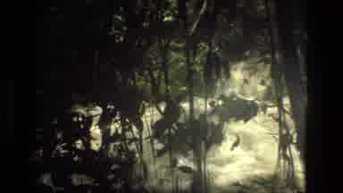 MANAUS BRAZIL-1979: Very Strong Rapids From Its Margin In An Area With