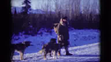 Alaska (1946): Homemade Video Of A Man And Dogs Then A Shoot From The Front A Car