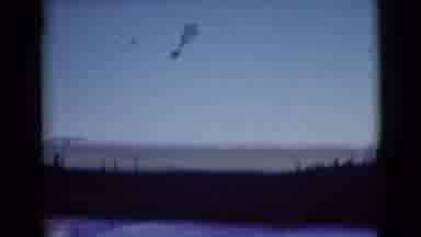 Alaska (1946): Travelling On A Moderately Forested Road