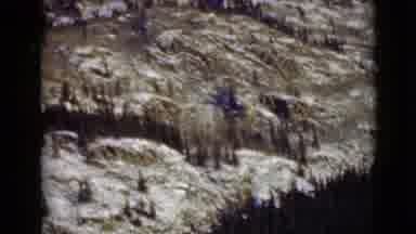 Alaska (1946): A Big High Mountain With Its Vegetation Somewhere Cold With Snow