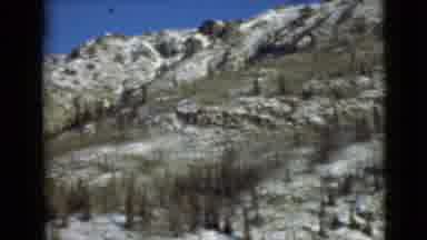 Alaska (1946): A Mountain With Few Trees And Light Grey Rocks