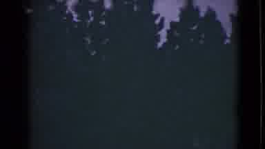 Alaska (1946): Night Scene Of A House In The Middle Of A Dense Trees