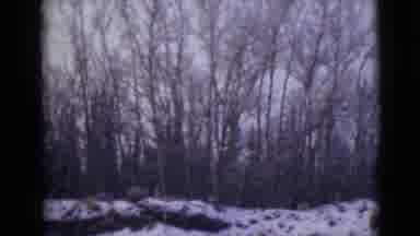 Alaska (1946): A Snowy Day Outdoors With The Sun Rising In The Horizon While Snow