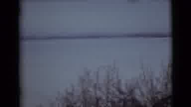 Alaska (1946): Leafless Bushes In Front Of A Body Of Open Water