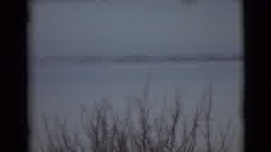 Alaska (1946): It Is Time To Make Sure We Have Fun In The Snow