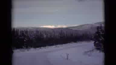 Alaska (1946): A Scenic Winter Mountains And Pine Trees