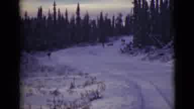 Alaska (1946): This Is A Snowy Road Scene With People And Animals Moving Toward